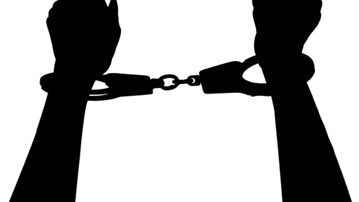Haryana gangsters Himanshu Bhau, Neeraj Faridpuria detained in U.S.